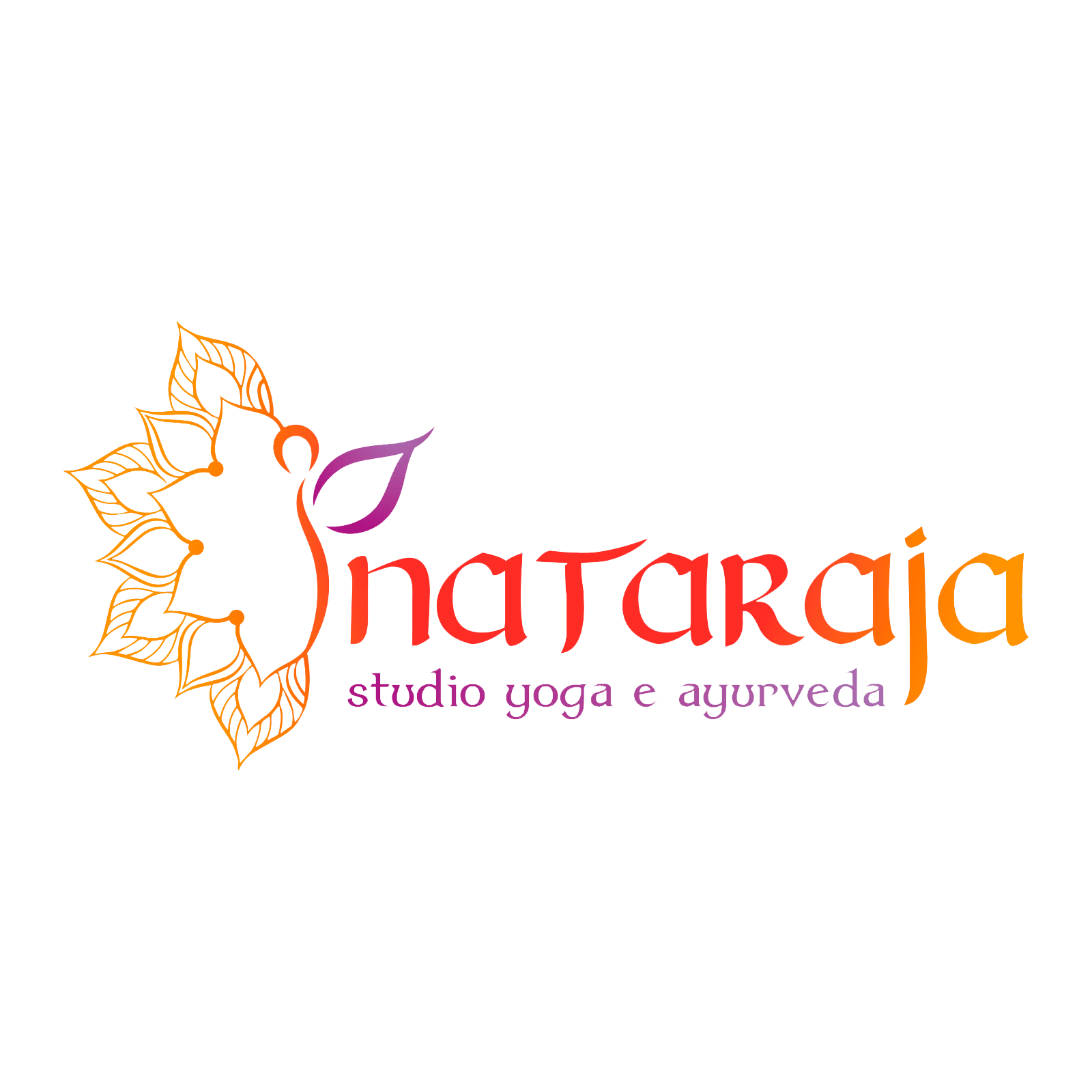 studionataraja.it